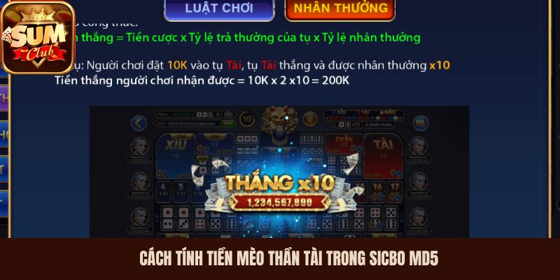 Cách tính tiền Mèo Thần Tài trong Sicbo MD5